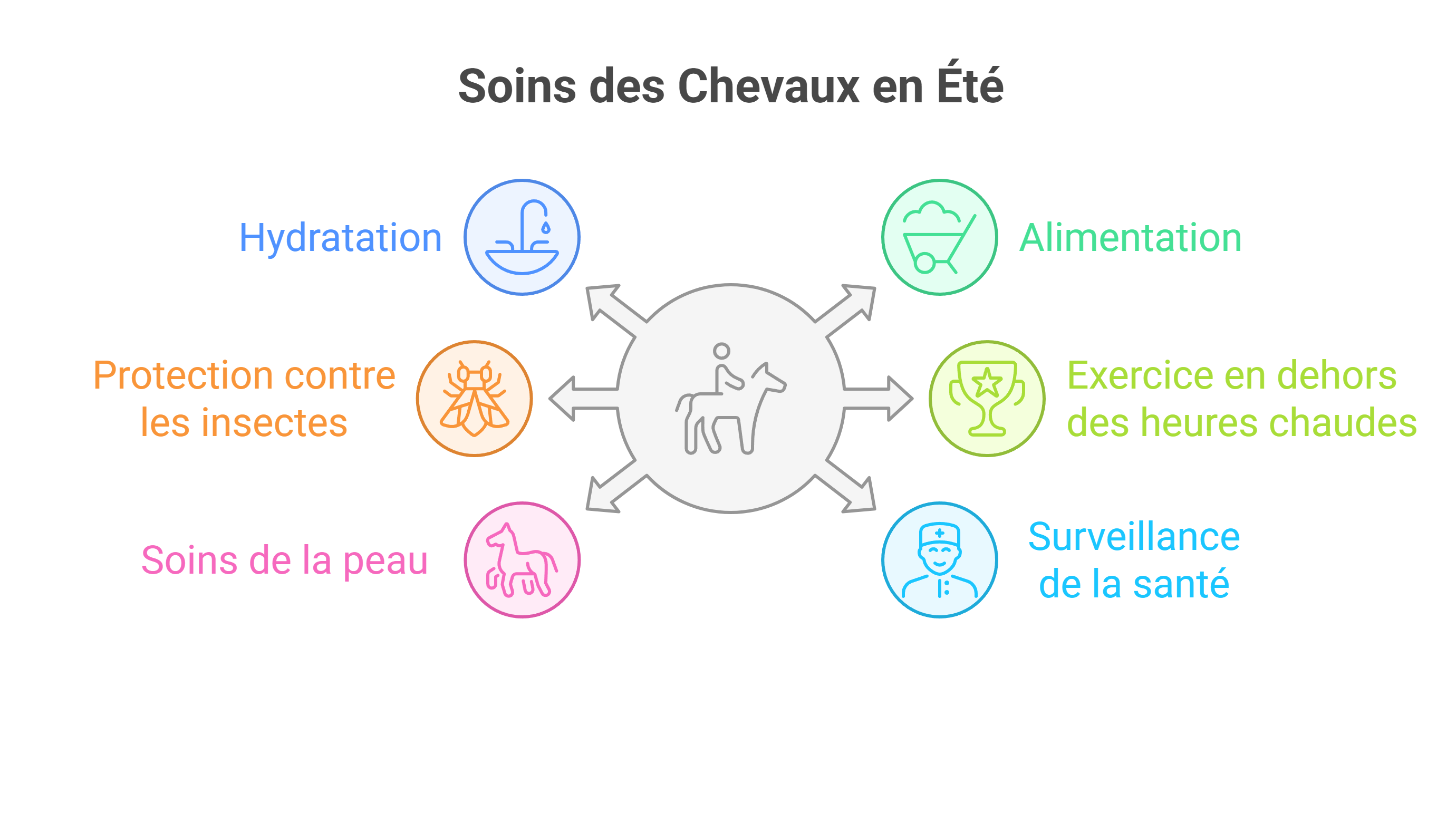 soins chevaux été